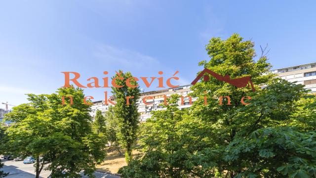 Stan, Dvosoban, Izdavanje, 60m2, Blok 21, Novi Beograd, Bulevar Mihajla Pupina