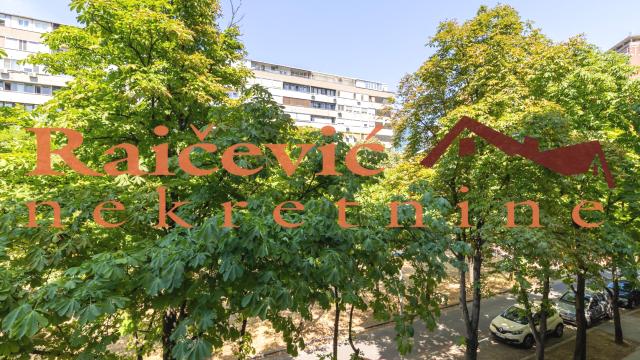 Stan, Dvosoban, Izdavanje, 60m2, Blok 21, Novi Beograd, Bulevar Mihajla Pupina