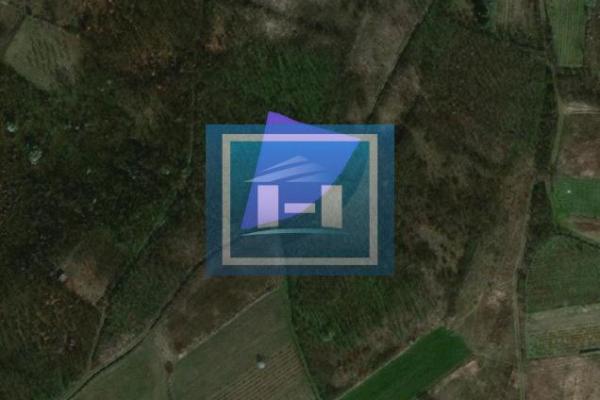 prodaja, plac,
trnava-grad-jagodina, 909736, plac