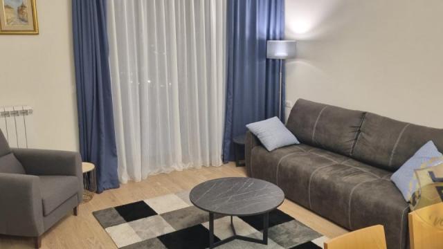 Stan, Dvosoban, Izdavanje, 55m2, Beograd na vodi, Savski venac, Bulevar Vudroa Vilsona