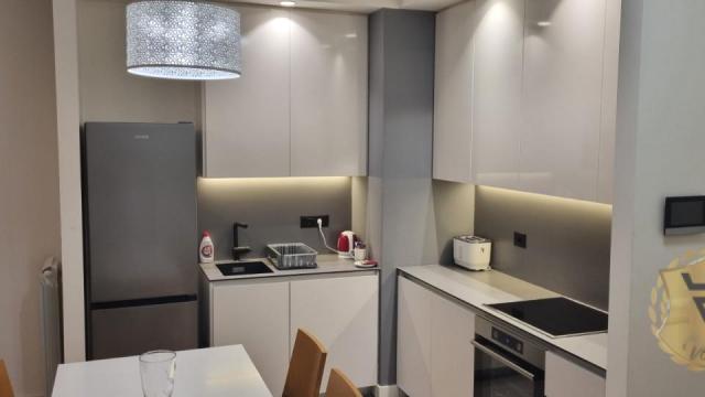 Stan, Dvosoban, Izdavanje, 55m2, Beograd na vodi, Savski venac, Bulevar Vudroa Vilsona