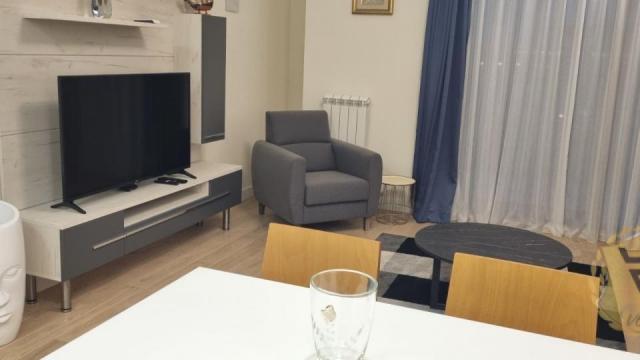 Stan, Dvosoban, Izdavanje, 55m2, Beograd na vodi, Savski venac, Bulevar Vudroa Vilsona