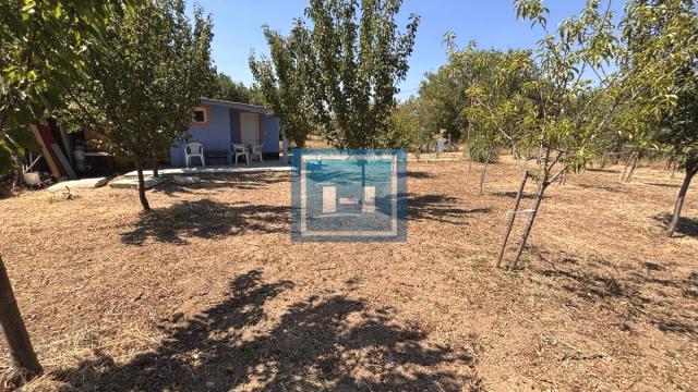 Kuća, Jednoiposoban, Prodaja, 21m2, Trnava, Gradska lokacija, Jagodina