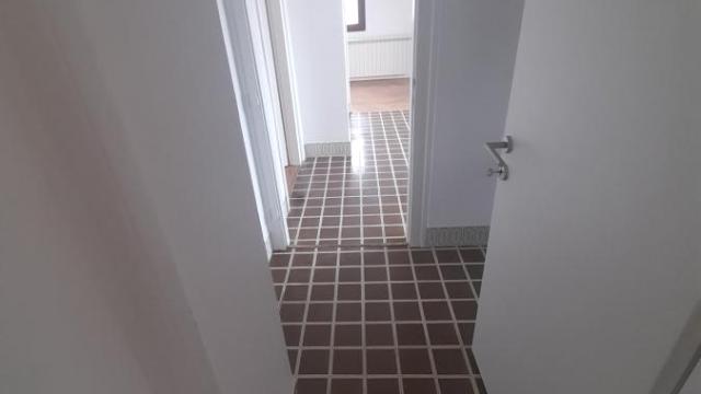 Kuća, Izdavanje, 600m2, Dedinje, Savski venac, Aleksandra Stamboliskog