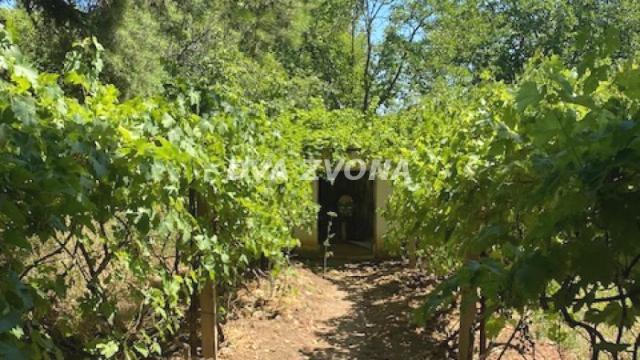 Kuća, Trosoban, Prodaja, 62m2, Čortanovci, Okolno mesto, Indjija