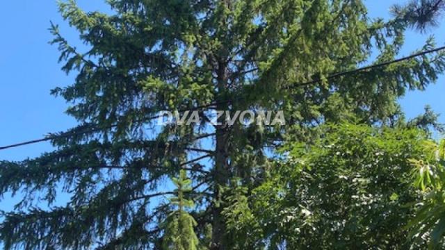 Kuća, Trosoban, Prodaja, 62m2, Čortanovci, Okolno mesto, Indjija