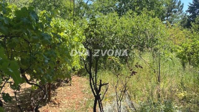 Kuća, Trosoban, Prodaja, 62m2, Čortanovci, Okolno mesto, Indjija