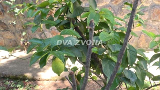 Kuća, Trosoban, Prodaja, 62m2, Čortanovci, Okolno mesto, Indjija