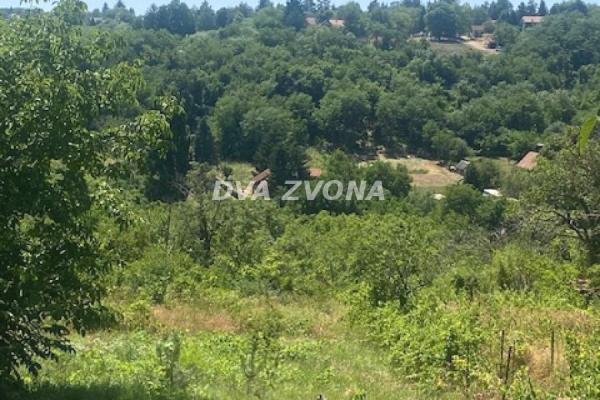 prodaja, plac,
cortanovci-opstina-indjija, 888619, plac