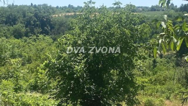 Plac, Prodaja, m2, Čortanovci, Okolno mesto, Indjija