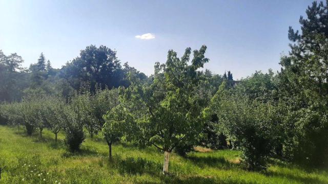 Kuća, Dvosoban, Prodaja, 40m2, Brestovik, Grocka, Timocka