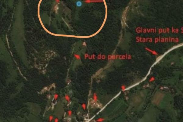 prodaja, plac,
crni-vrh-opstina-knjazevac, 912703, crni-vrh