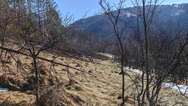 Plac, Prodaja, m2, Crni Vrh, Okolno mesto, Crni Vrh