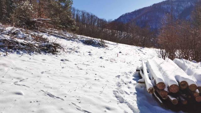 Plac, Prodaja, m2, Crni Vrh, Okolno mesto, Crni Vrh