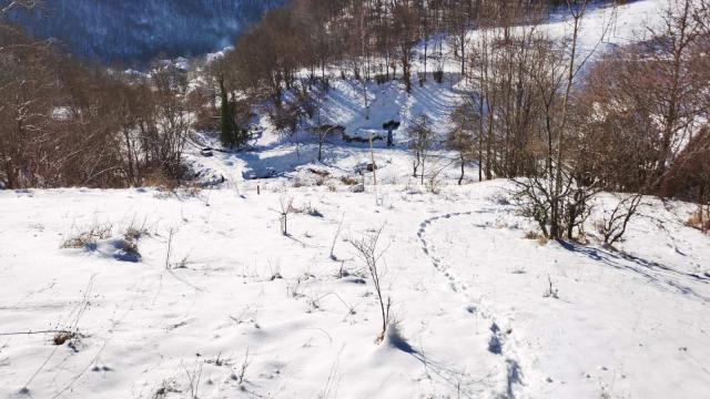 Plac, Prodaja, m2, Crni Vrh, Okolno mesto, Crni Vrh