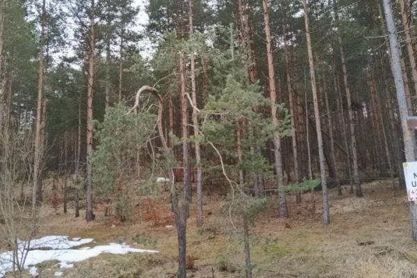 prodaja, plac,
vodice-opstina-zlatibor, 912740, vodice