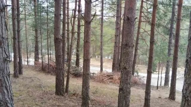 Plac, Prodaja, m2, Vodice, Okolno mesto, Vodice