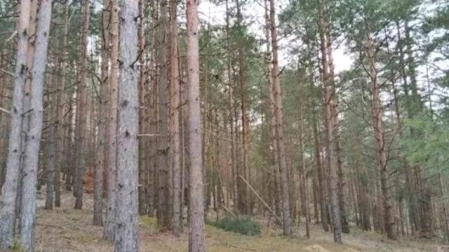 Plac, Prodaja, m2, Vodice, Okolno mesto, Vodice