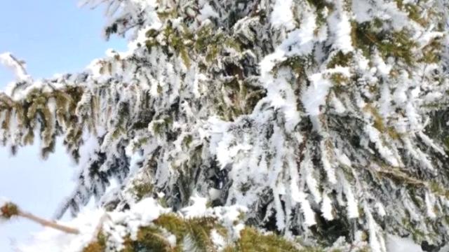 Plac, Prodaja, m2, Vodice, Okolno mesto, Vodice