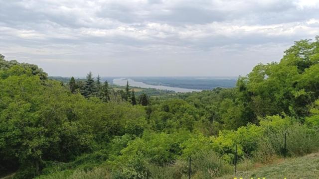 Kuća, Trosoban, Prodaja, 77m2, Fruška Gora, Okolno mesto, Mali gaj