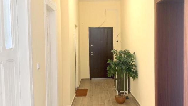 Stan, Jednoiposoban, Izdavanje, 57m2, Donji grad, Zemun, Stevana Markovića