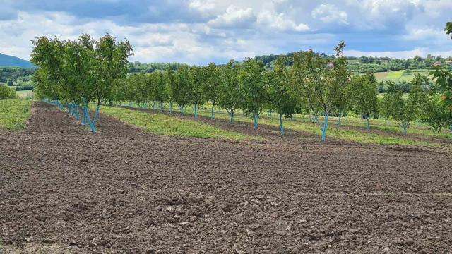 Kuća, Petosoban i veći, Prodaja, 170m2, Mali Popović, Sopot, Kragujevacki put