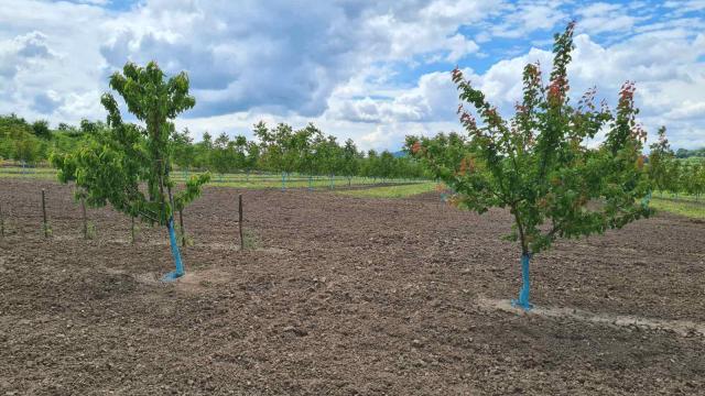 Kuća, Petosoban i veći, Prodaja, 170m2, Mali Popović, Sopot, Kragujevacki put