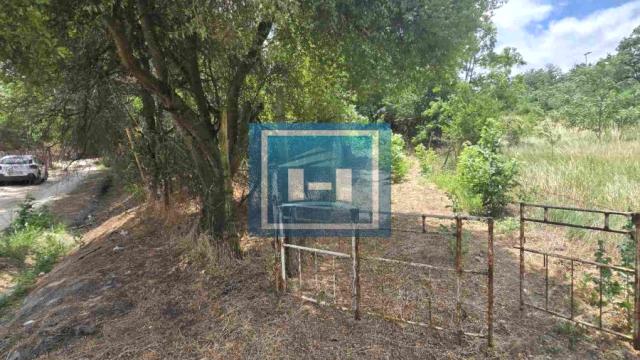 Kuća, Jednosoban, Prodaja, 30m2, Bujanovac