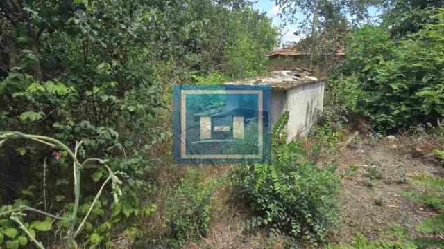 Kuća, Jednosoban, Prodaja, 30m2, Bujanovac
