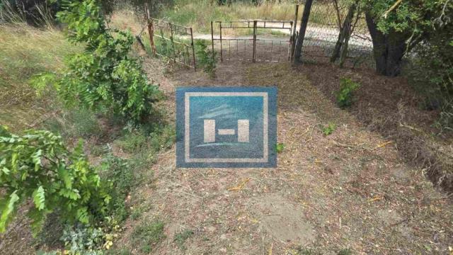 Kuća, Jednosoban, Prodaja, 30m2, Bujanovac