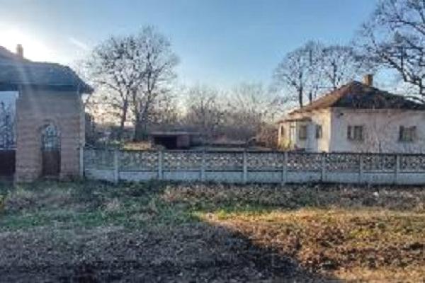 prodaja, plac,
lipe-opstina-smederevo, 916163, lipe