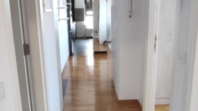 Stan, Dvoiposoban, Izdavanje, 67m2, Učiteljsko naselje, Zvezdara, Živka Davidovića