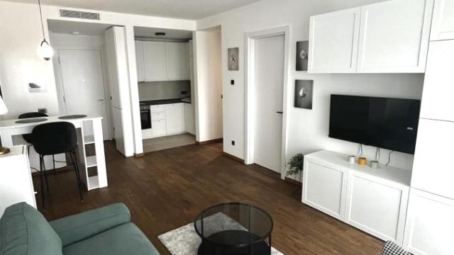 Stan, Dvosoban, Izdavanje, 50m2, Dorćol, Stari grad, Venizelosova