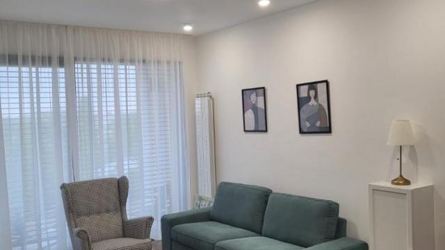 Stan, Dvosoban, Izdavanje, 50m2, Dorćol, Stari grad, Venizelosova