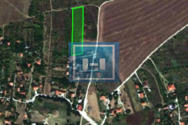 prodaja, plac,
karadjordjevo-brdo-grad-paracin, 917001, plac