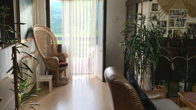 Kuća, Petosoban, Prodaja, 250m2, Lazarevac, Vojvode Stepe