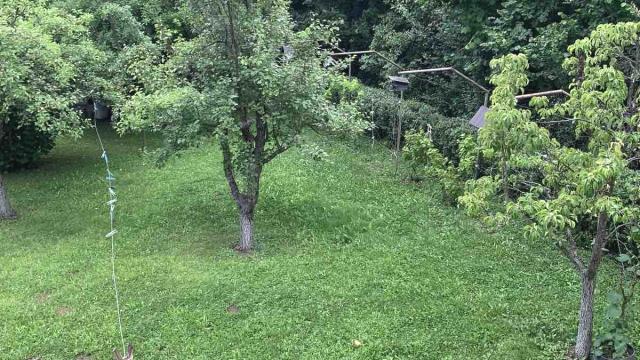 Kuća, Petosoban, Prodaja, 250m2, Lazarevac, Vojvode Stepe
