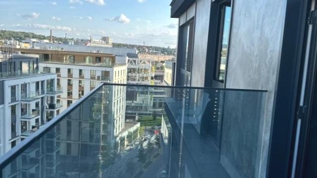 Stan, Dvosoban, Izdavanje, 55m2, Beograd na vodi, Savski venac, Luke Ćelovića Trebinjca