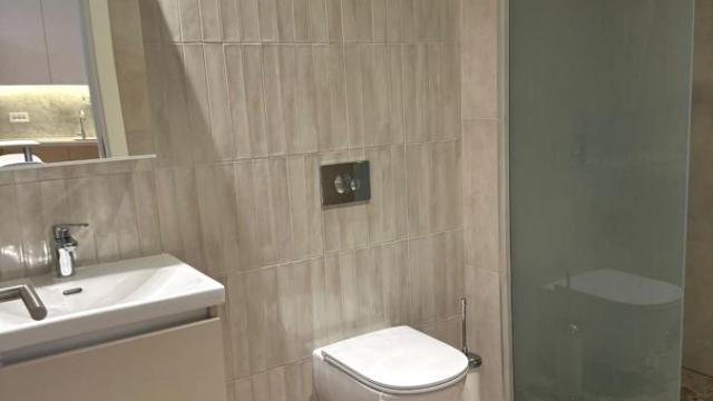 Stan, Dvosoban, Izdavanje, 55m2, Beograd na vodi, Savski venac, Luke Ćelovića Trebinjca