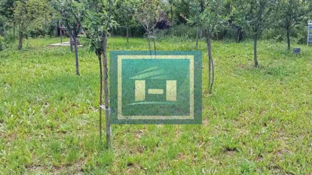 Kuća, Jednoiposoban, Prodaja, 21m2, Trnava, Gradska lokacija, Jagodina