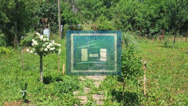 Kuća, Jednoiposoban, Prodaja, 21m2, Trnava, Gradska lokacija, Jagodina