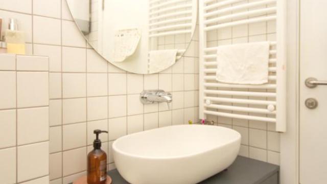 Stan, četvorosoban, Izdavanje, 101m2, Botanička bašta, Palilula, Vojvode Dobrnjca