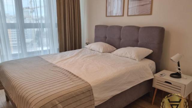 Stan, Dvosoban, Izdavanje, 55m2, Beograd na vodi, Savski venac, Bulevar Vudroa Vilsona
