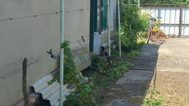 Kuća, Petosoban i veći, Prodaja, 116m2, Perlez, Okolno mesto, Perlez