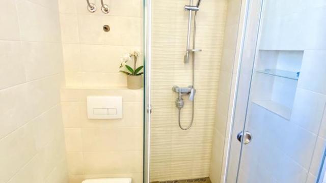 Stan, Dvosoban, Izdavanje, 46m2, Dorćol, Stari grad, Dobračina