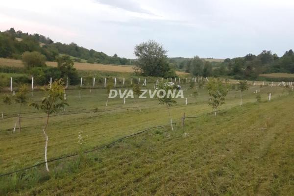 prodaja, plac,
cortanovci-opstina-indjija, 919734, plac