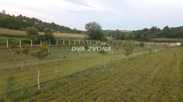 Plac, Prodaja, m2, Čortanovci, Okolno mesto, Indjija