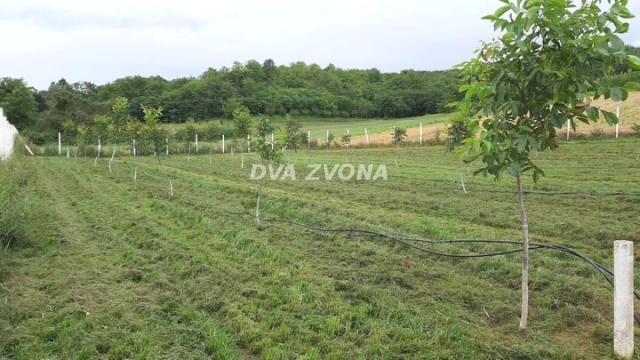 Plac, Prodaja, m2, Čortanovci, Okolno mesto, Indjija