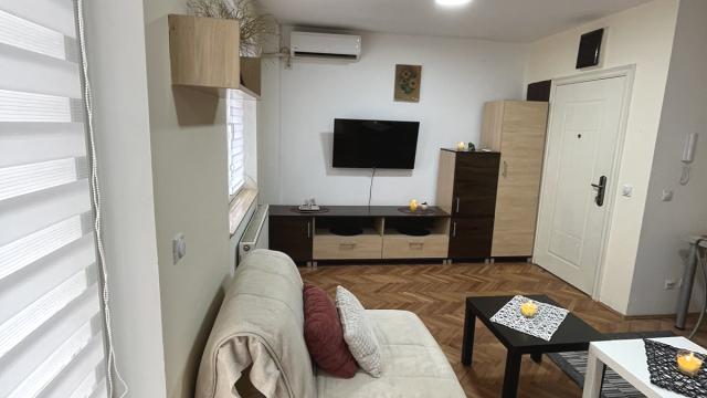Stan, Dvosoban, Izdavanje, 35m2, Vojvode Mišića