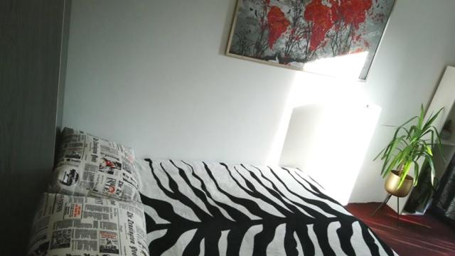Stan, Jednosoban, Prodaja, 33m2, Trg Republike, Stari grad, Makedonska